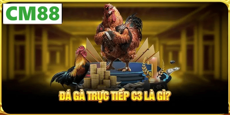 Nguồn gốc và ý nghĩa văn hóa của đá gà tre